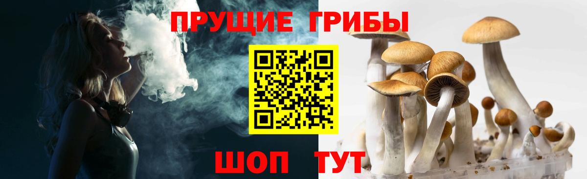 Луховицы  Псилоцибиновые грибы MAGIC MUSHROOMS  Вход с VPN 